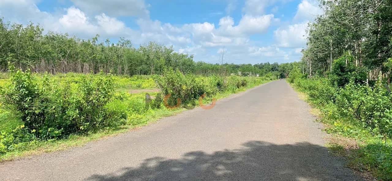 Bán đất hẻm đường Quốc Lộ 13 Huyện Lộc Ninh, Bình Phước – giá 290 triệu — Hình 2