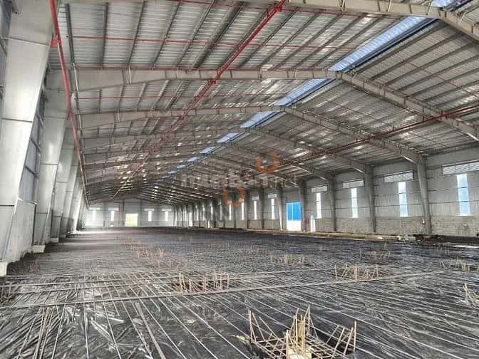 Cho thuê kho, nhà xưởng Quốc Lộ 50 Huyện Cần Giuộc, Tay Ninh – giá 210 triệu — Hình 3