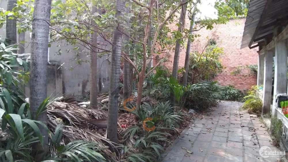 Bán nhà hẻm Bùi Quang Là Quận Gò Vấp, TP.HCM – 1 phòng ngủ, giá 7.8 tỷ — Hình 2