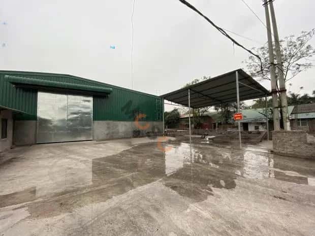 Cho thuê kho, nhà xưởng Đường Nguyễn Khoái Hoàng Mai, Hà Nội – giá 135 triệu — Hình 2