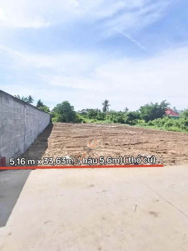 Bán đất hẻm 98 Huỳnh Hữu Thống Thành phố Tân An, Long An – giá 1.6 tỷ — Hình 2