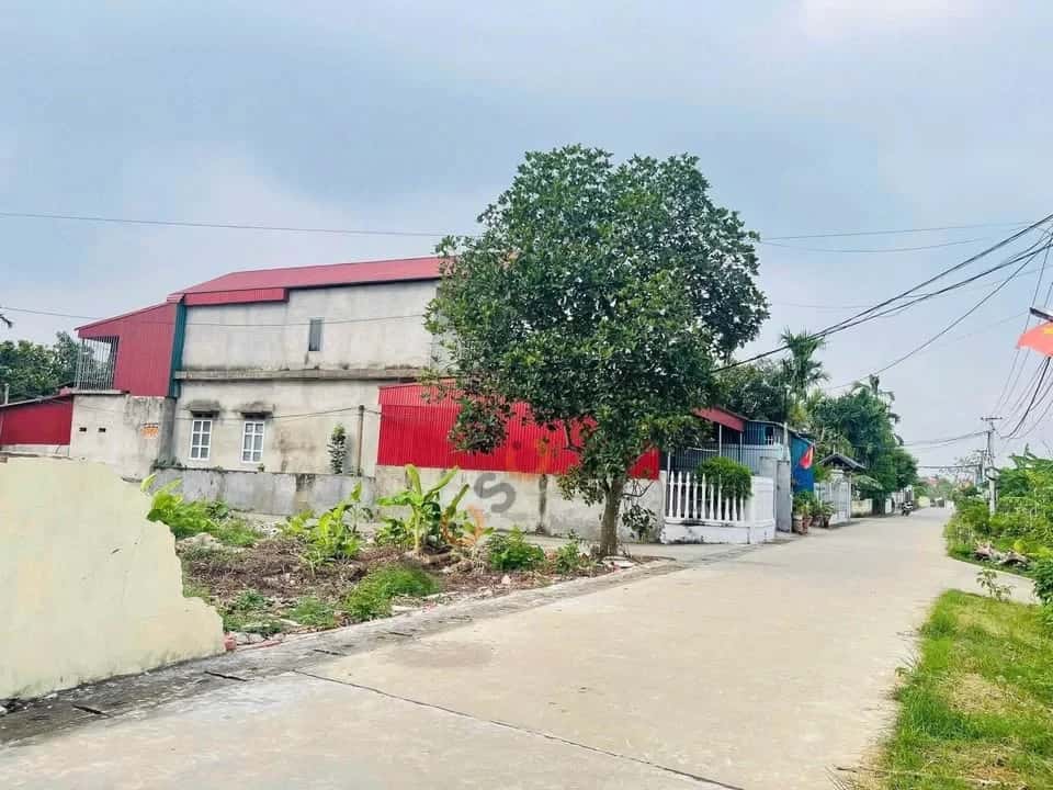 Bán đất hẻm đường TL 315, Khu 20 Huyện Tam Nông, Phú Thọ – giá 600 triệu — Hình 2