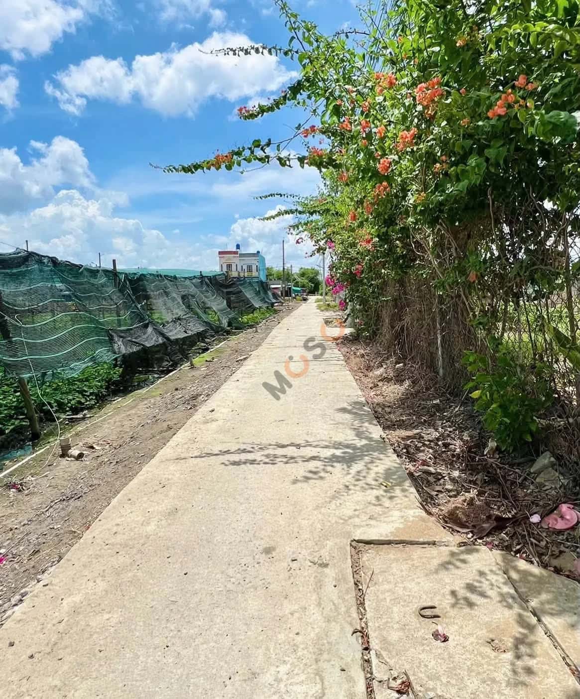 Bán đất Ấp Phước Hưng 1 Huyện Cần Giuộc, Long An – giá 600 triệu — Hình 3