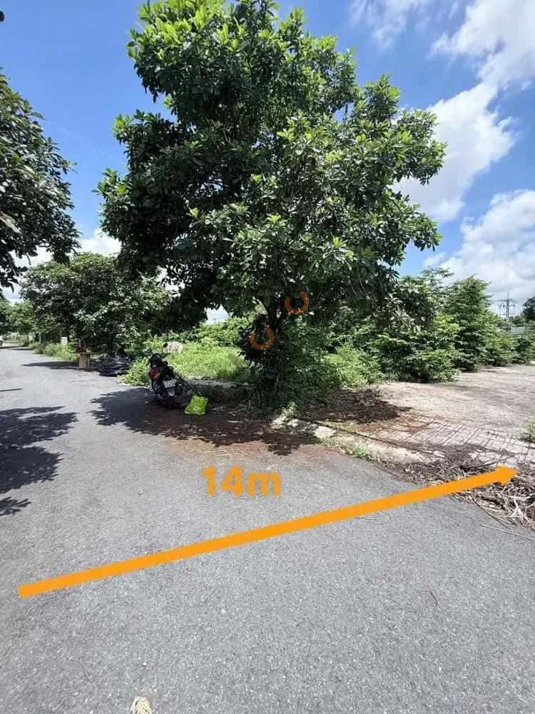 Bán đất Đường 409 Củ Chi, TP. Hồ Chí Minh – giá 2 tỷ — Hình 2