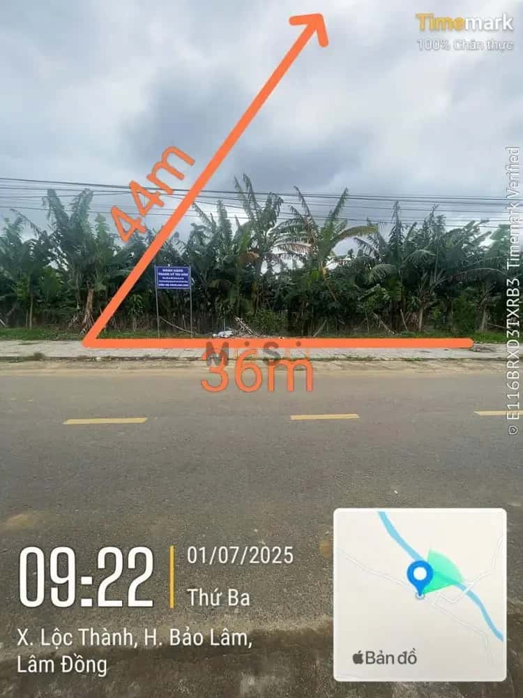 Bán đất Huyện Bảo Lâm, Lâm Đồng – giá 2 tỷ — Hình 2