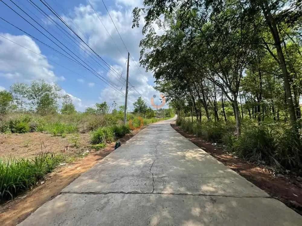 Bán đất Huyện Đồng Phú, Bình Phước – giá 251 triệu — Hình 3