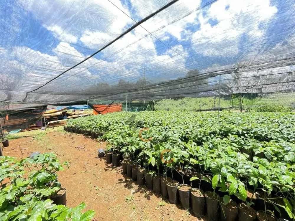Bán đất Thành phố Bảo Lộc, Lâm Đồng – giá 984 triệu — Hình 3