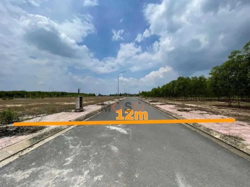 Bán đất Xã Long Đức, Đồng Nai – giá 1.4 tỷ — Hình 3