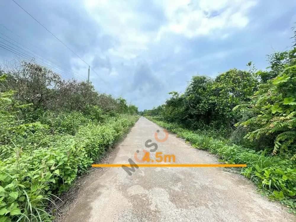 Bán đất Huyện Hớn Quản, Bình Phước – giá 673.5 triệu — Hình 2