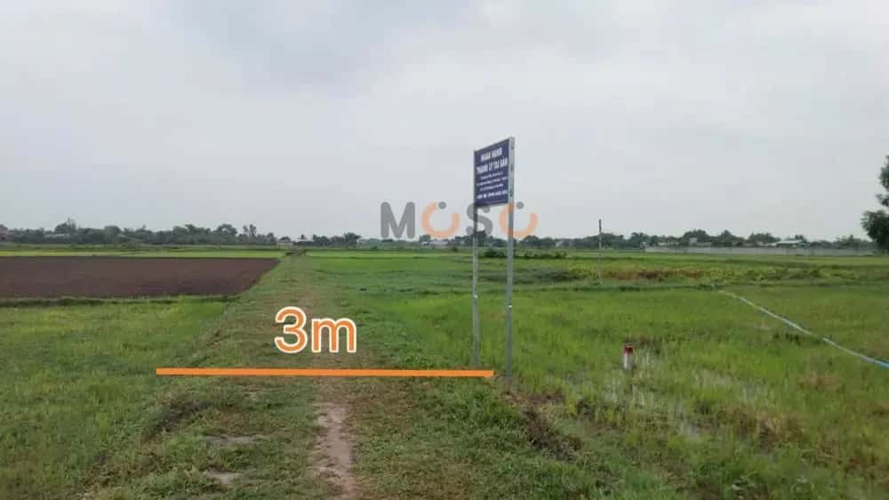 Bán đất Đức Hòa, Long An – giá 583 triệu — Hình 2
