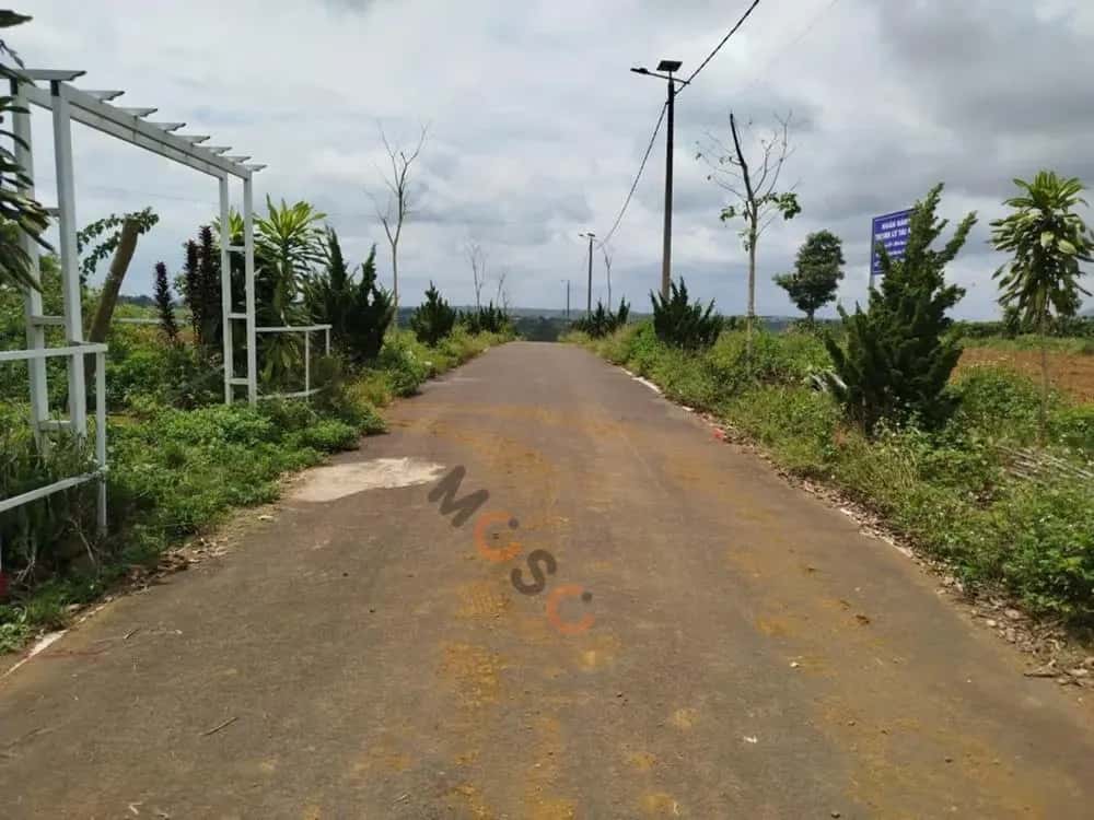 Bán đất Huyện Bảo Lâm, Lâm Đồng – giá 452.3 triệu — Hình 3