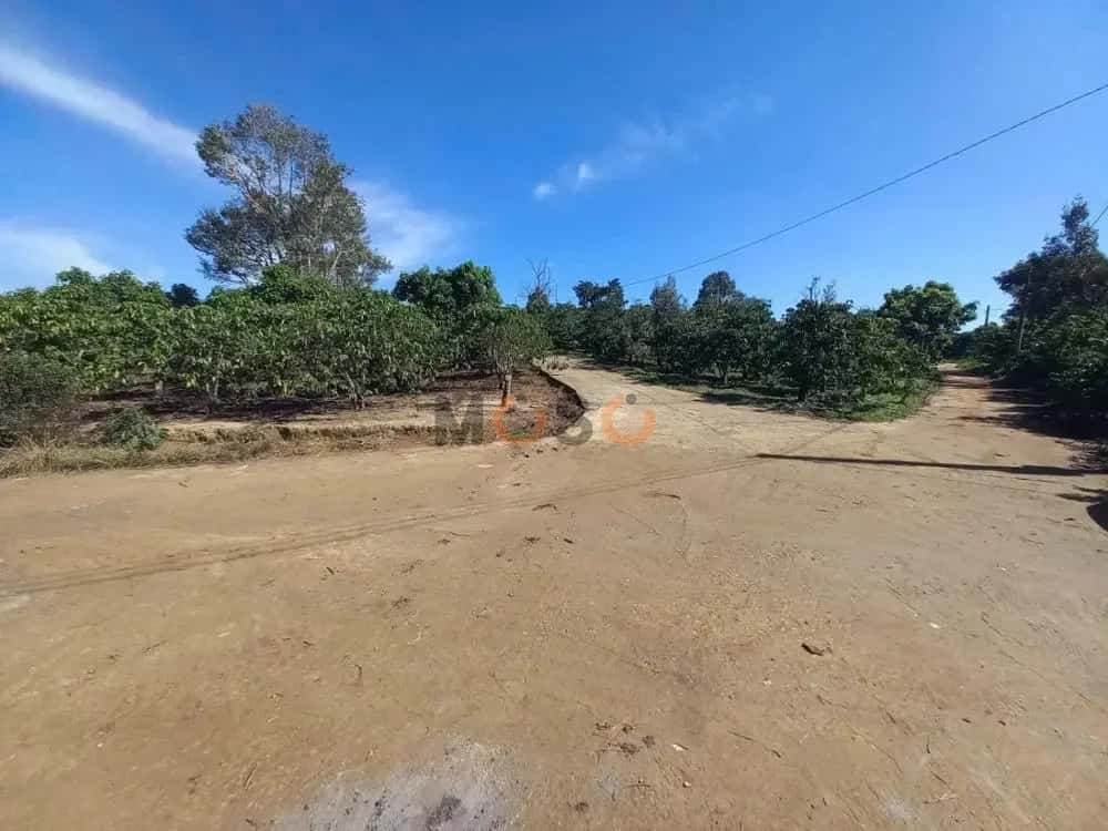 Bán đất Huyện Di Linh, Lâm Đồng – giá 4.3 tỷ — Hình 3