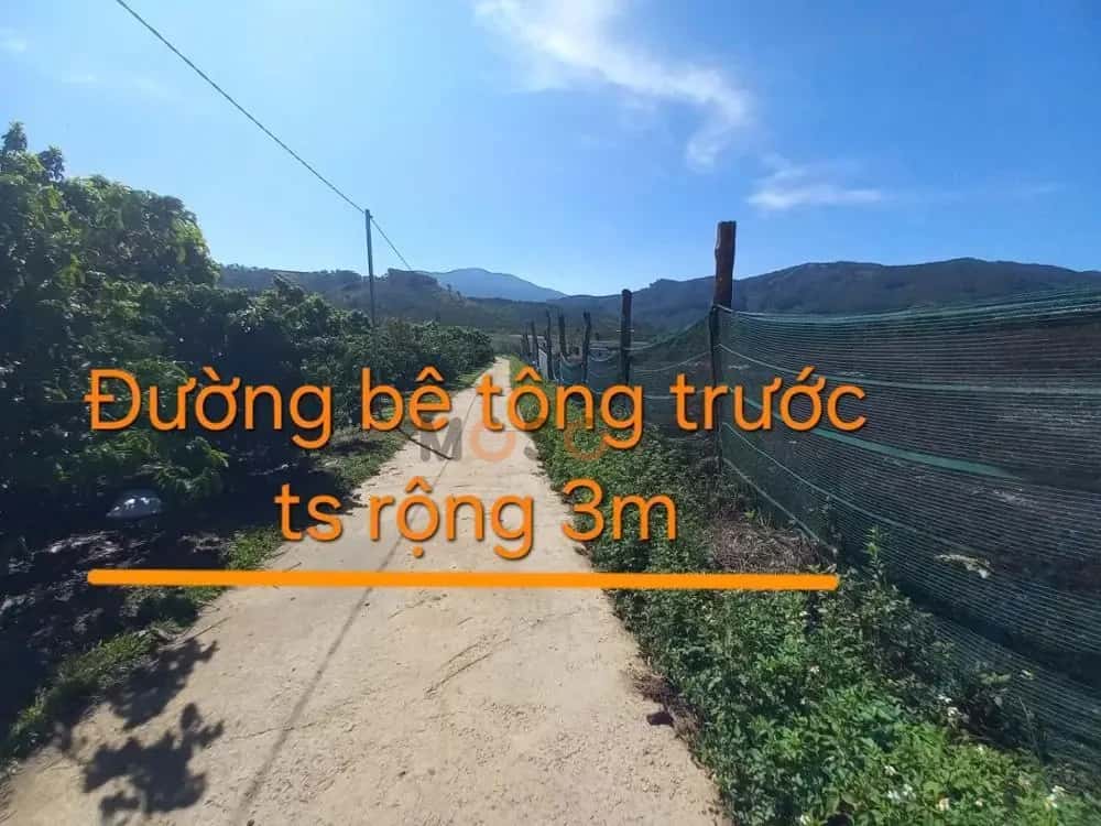 Bán đất Huyện Di Linh, Lâm Đồng – giá 4.3 tỷ — Hình 2