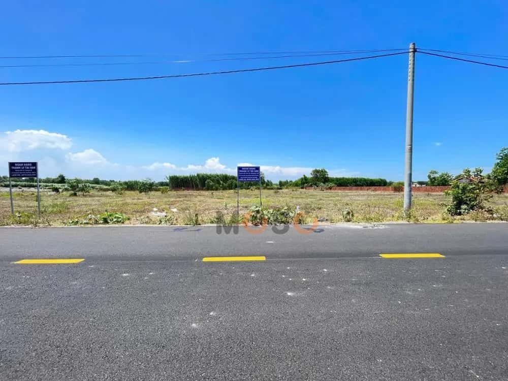 Bán đất Đất Đỏ, BRVT – giá 1.3 tỷ — Hình 3