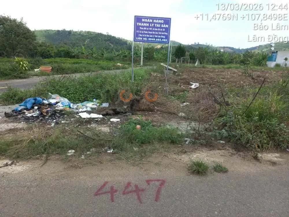 Bán đất TĐS 447 TBĐ 26 Huyện Bảo Lâm, Lâm Đồng – giá 965 triệu — Hình 2