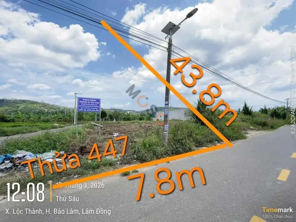 Bán đất TĐS 447 TBĐ 26 Huyện Bảo Lâm, Lâm Đồng – giá 965 triệu — Hình 3