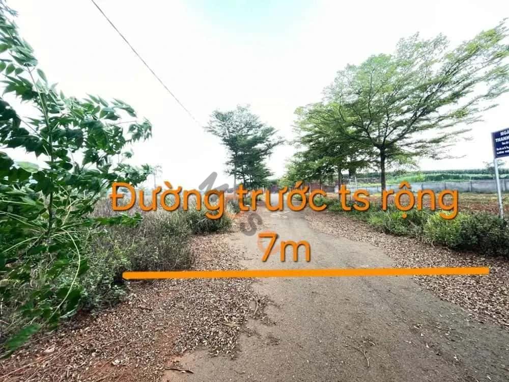 Bán đất Unnamed Huyện Đơn Dương, Lâm Đồng – giá 552 triệu — Hình 2
