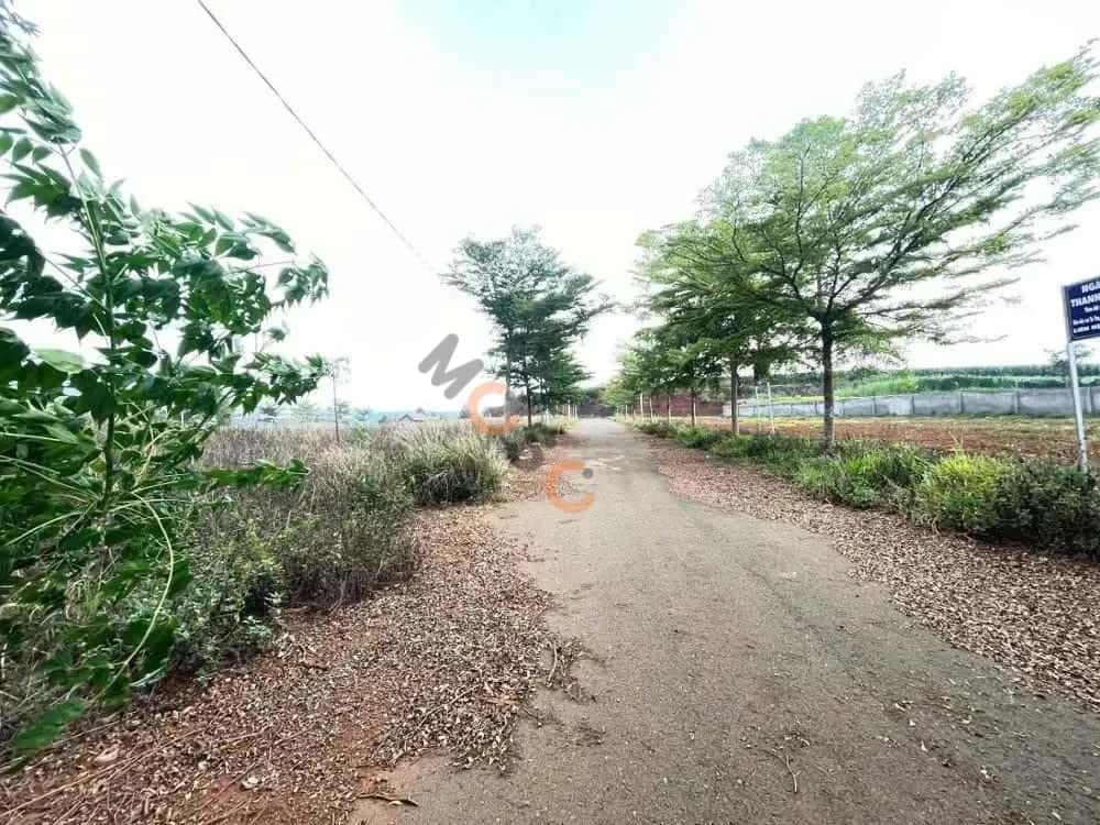 Bán đất Unnamed Huyện Đơn Dương, Lâm Đồng – giá 552 triệu — Hình 3