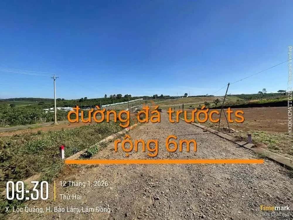 Bán đất Huyện Bảo Lâm, Lâm Đồng – giá 448 triệu — Hình 2