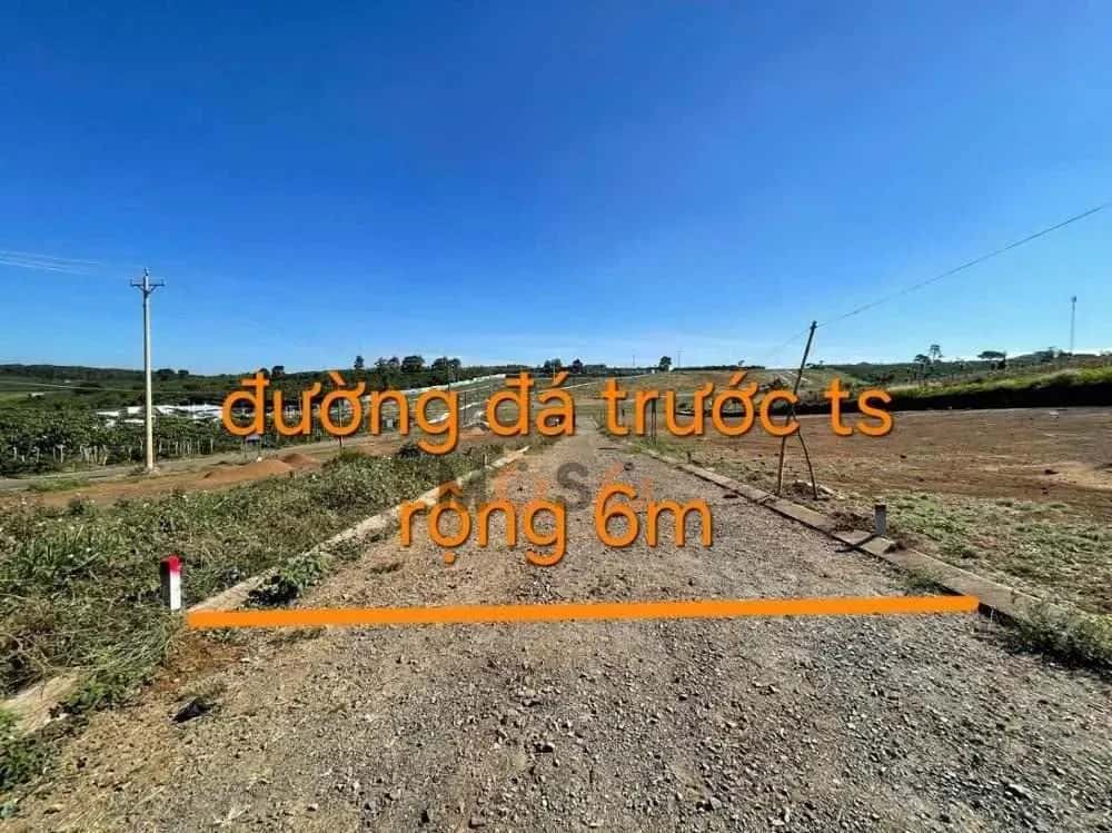 Bán đất Huyện Bảo Lâm, Lâm Đồng – giá 442 triệu — Hình 2