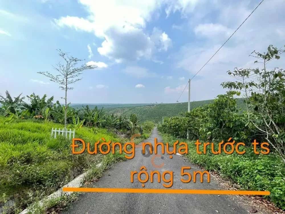 Bán đất Huyện Bảo Lâm, Lâm Đồng – giá 448 triệu — Hình 2