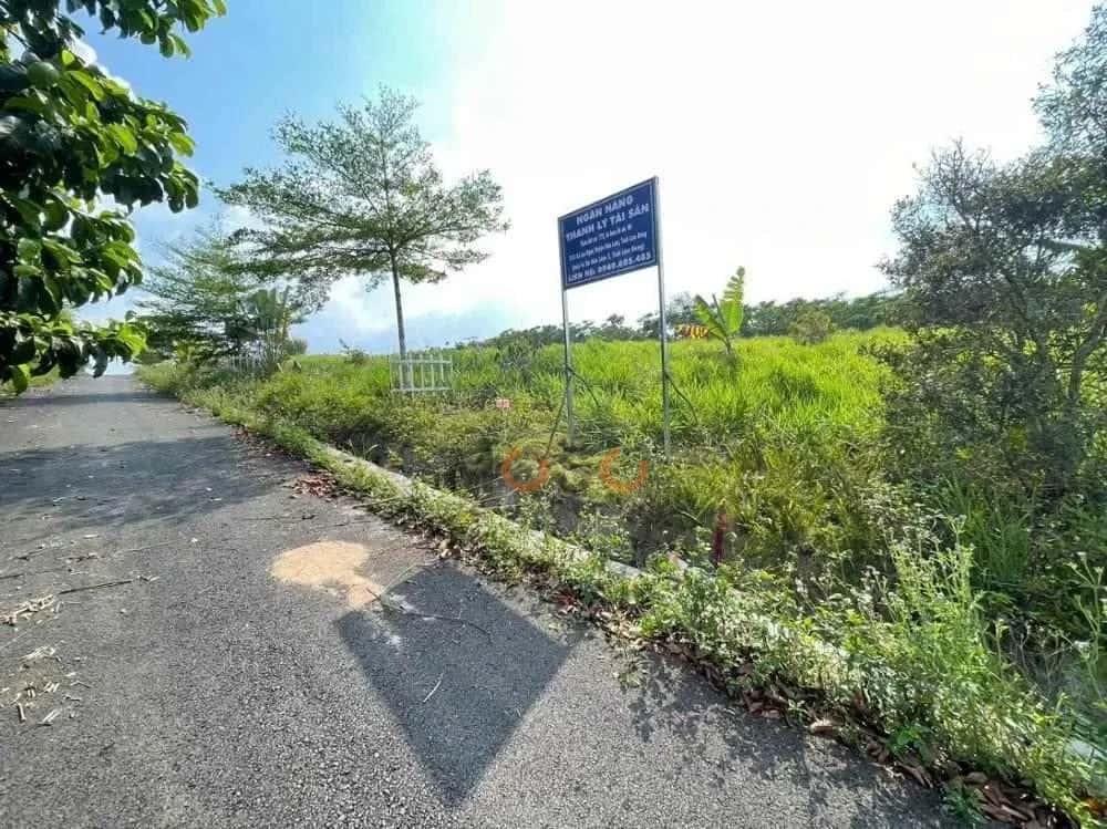 Bán đất Huyện Bảo Lâm, Lâm Đồng – giá 448 triệu — Hình 3
