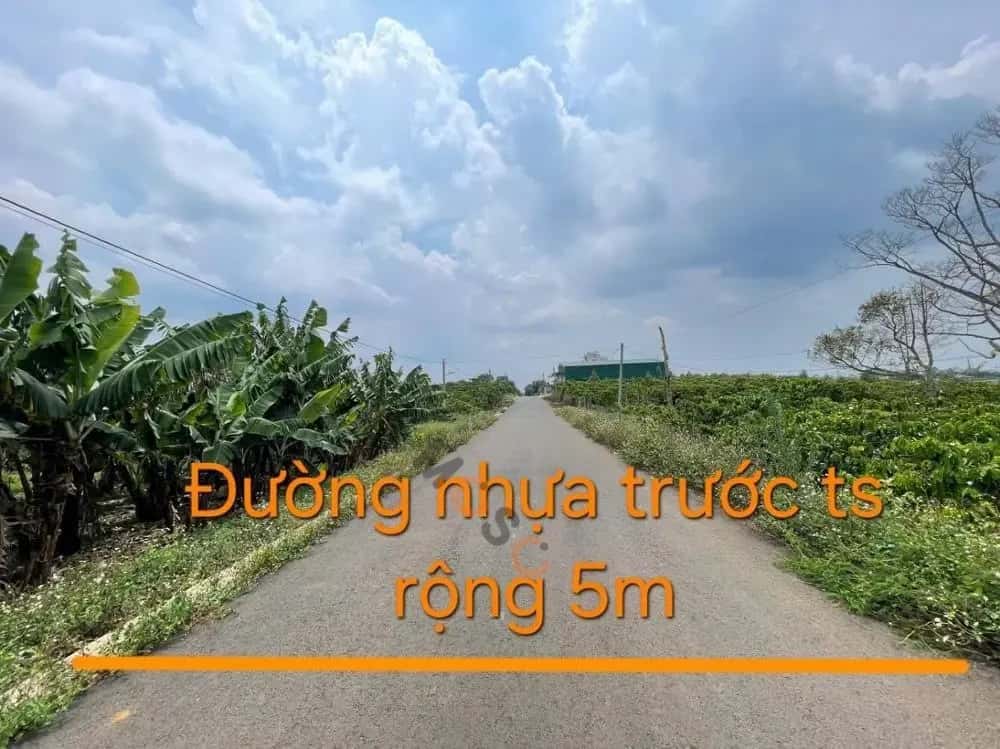 Bán đất Huyện Bảo Lâm, Lâm Đồng – giá 410.5 triệu — Hình 2