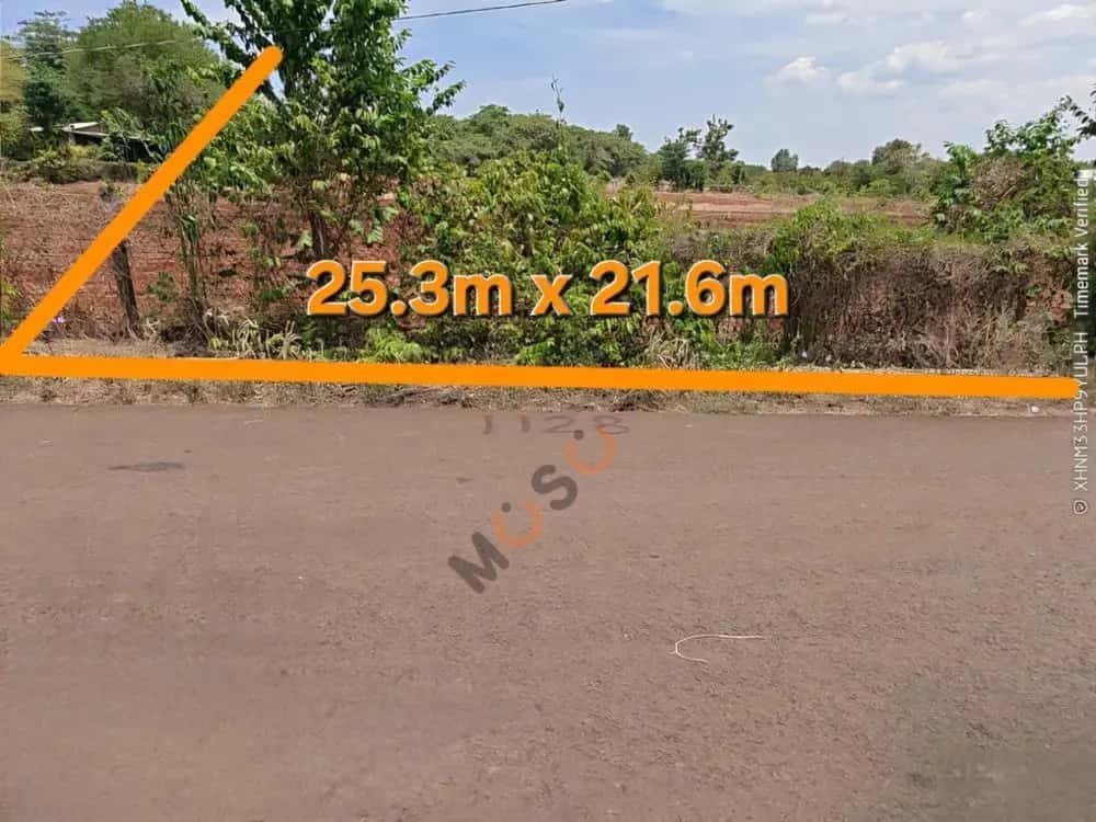 Bán đất Xuyên Mộc, BRVT – giá 1.9 tỷ — Hình 2