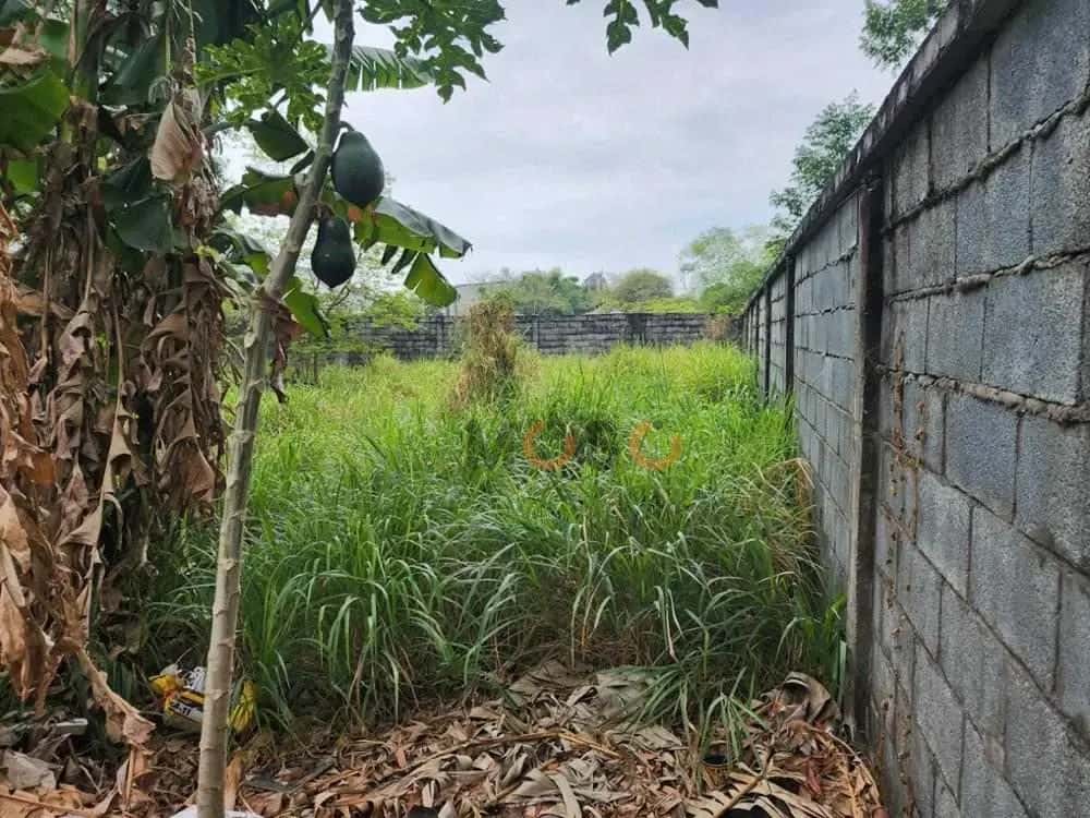 Bán đất Khu phố Đông Thành Dĩ An, Bình Dương – giá 2.9 tỷ — Hình 3