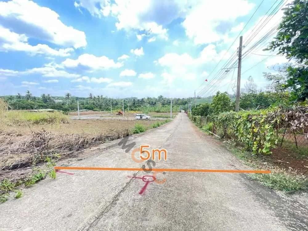 Bán đất Thống Nhất, Đồng Nai – giá 672.5 triệu — Hình 2
