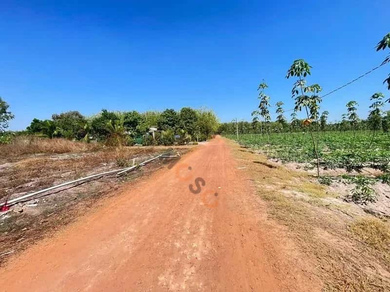 Bán đất Huyện Tân Châu, Tây Ninh – giá 139.8 triệu — Hình 2