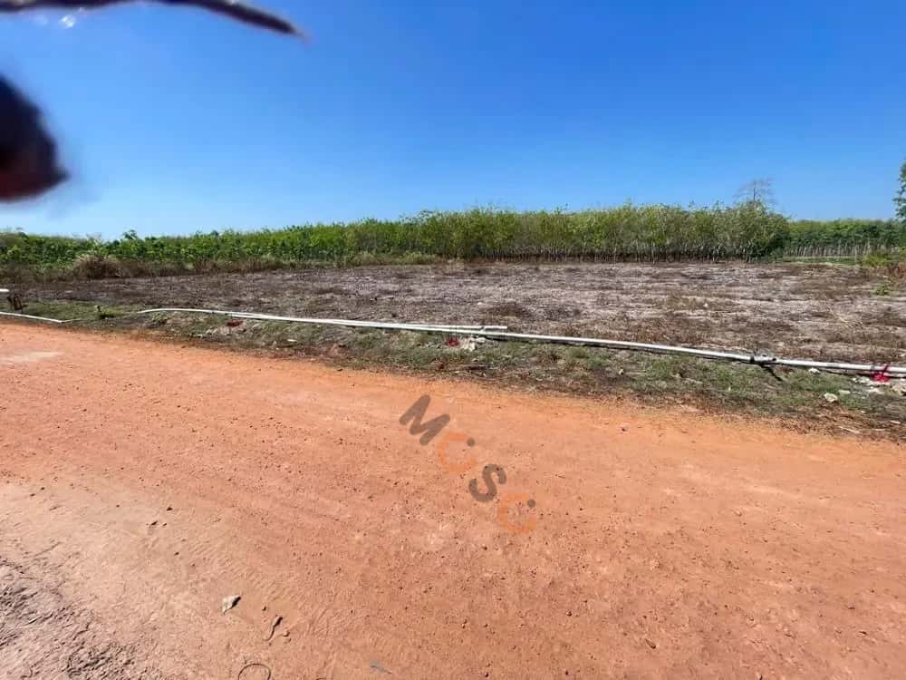 Bán đất Huyện Tân Châu, Tây Ninh – giá 139.8 triệu — Hình 3