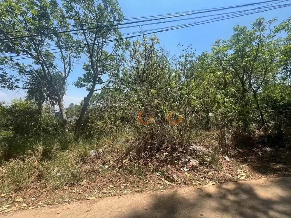 Bán đất Trường Xuân 1 Thành phố Đà Lạt, Lâm Đồng – giá 3.4 tỷ — Hình 3