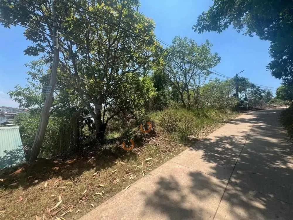 Bán đất Trường Xuân 1 Thành phố Đà Lạt, Lâm Đồng – giá 3.4 tỷ — Hình 2