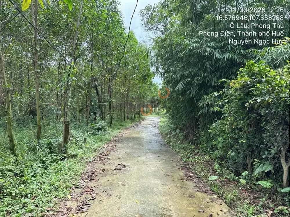 Bán đất Phong Điền, Thừa Thiên Huế – giá 402 triệu — Hình 2
