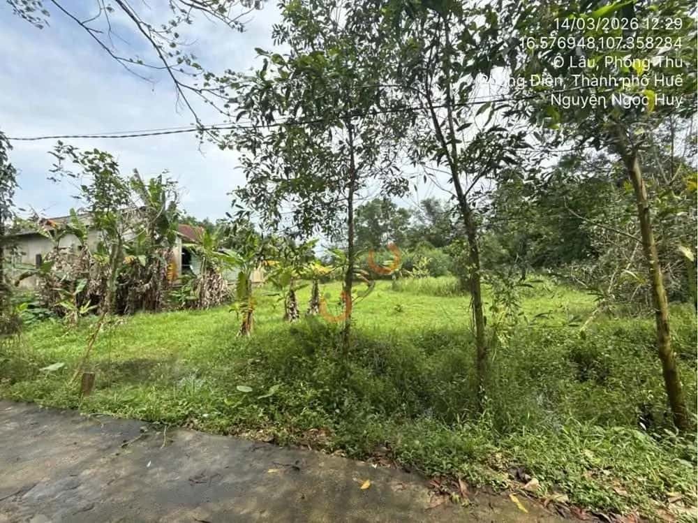 Bán đất Phong Điền, Thừa Thiên Huế – giá 402 triệu — Hình 3