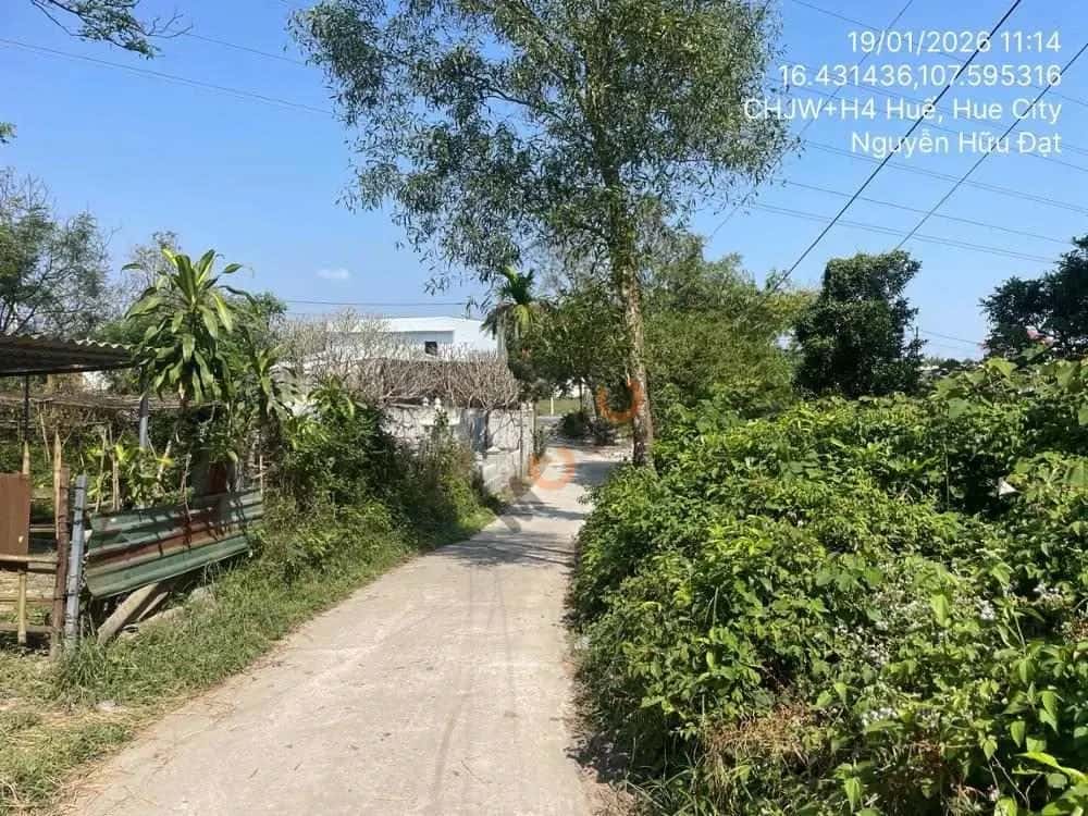 Bán đất Tam Thai Thành phố Huế, Thừa Thiên Huế – giá 1 tỷ — Hình 2