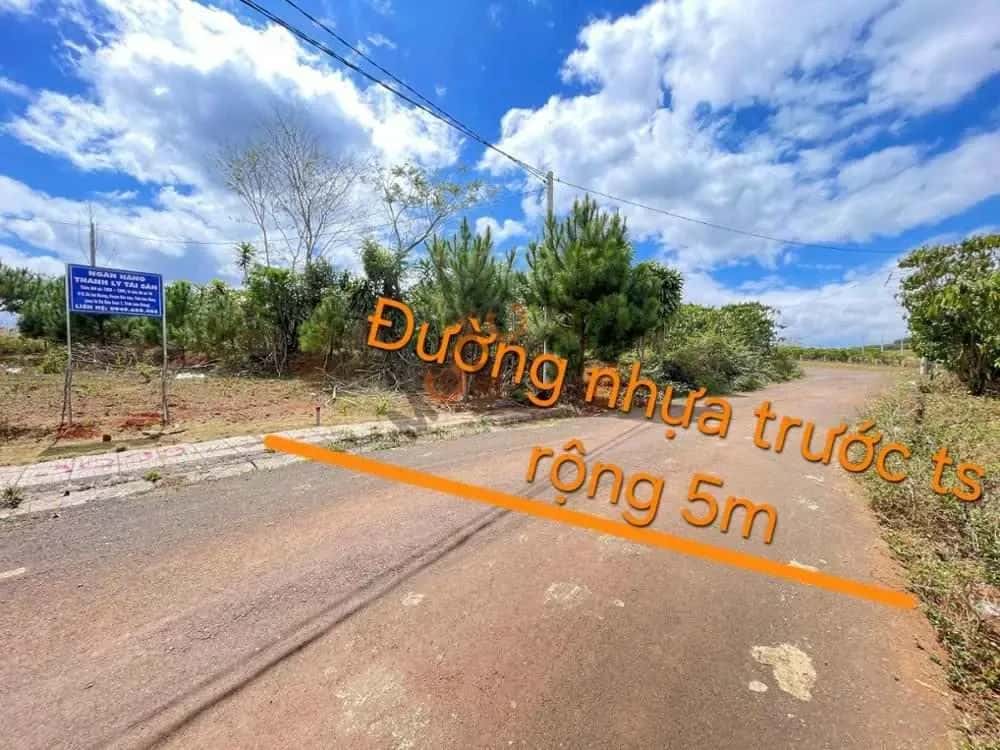 Bán đất Đường Số 3 Huyện Bảo Lâm, Lâm Đồng – giá 395.7 triệu — Hình 2