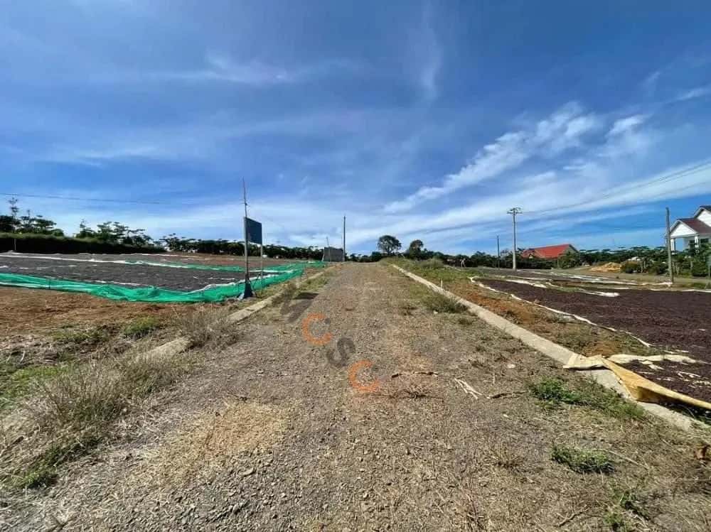 Bán đất Huyện Bảo Lâm, Lâm Đồng – giá 719.2 triệu — Hình 3