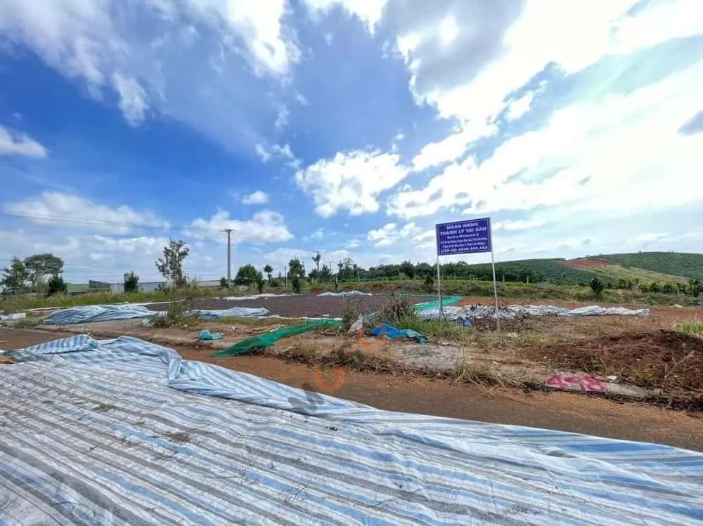 Bán đất Huyện Bảo Lâm, Lâm Đồng – giá 471.5 triệu — Hình 3