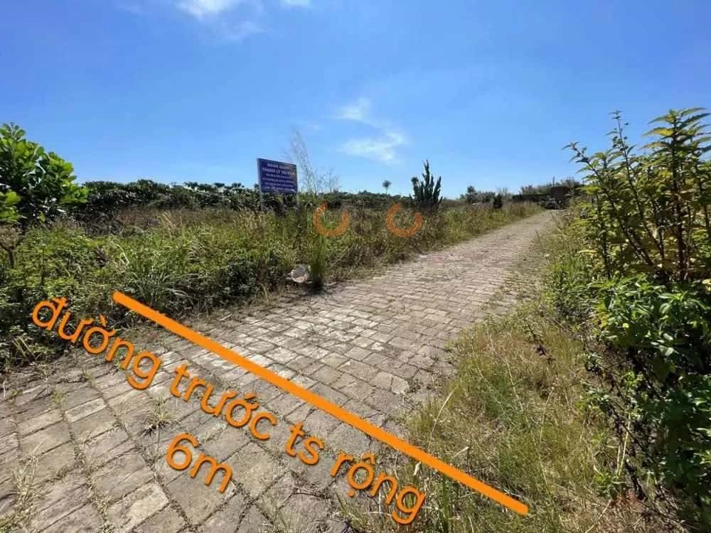 Bán đất Huyện Bảo Lâm, Lâm Đồng – giá 853 triệu — Hình 2