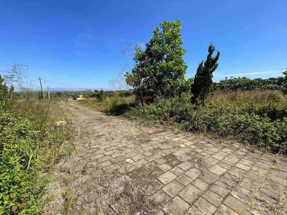 Bán đất Huyện Bảo Lâm, Lâm Đồng – giá 853 triệu — Hình 3