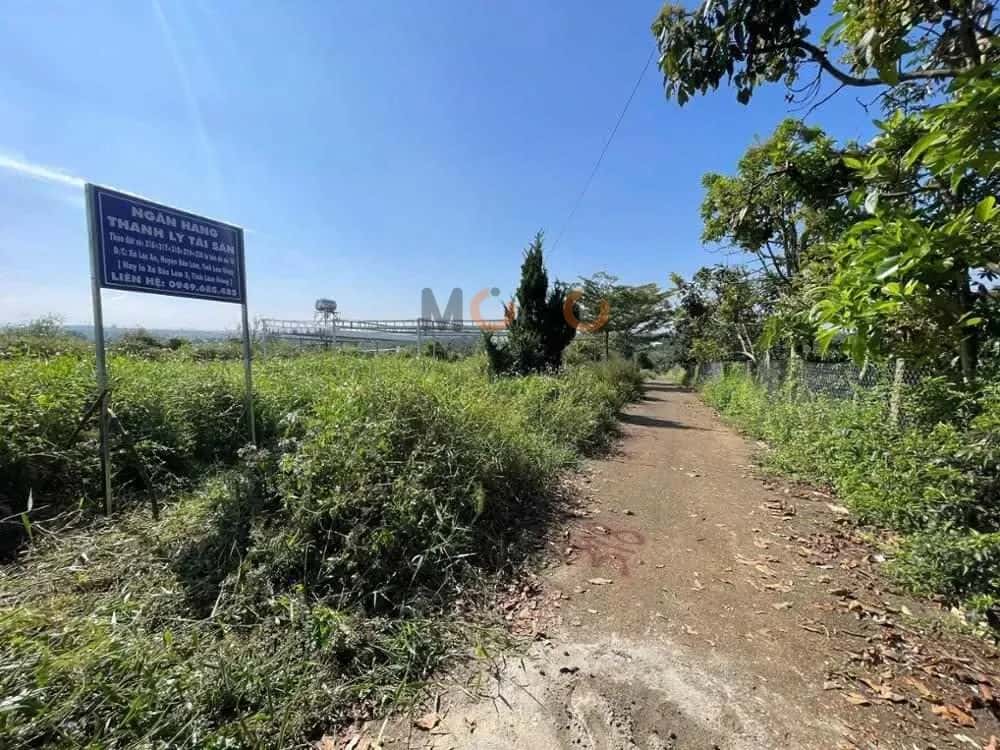 Bán đất Huyện Bảo Lâm, Lâm Đồng – giá 258.1 triệu — Hình 2
