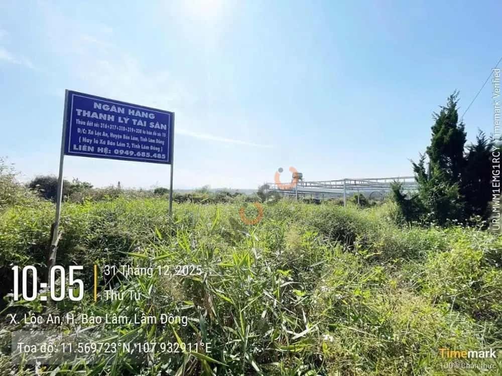 Bán đất Huyện Bảo Lâm, Lâm Đồng – giá 258.1 triệu — Hình 3