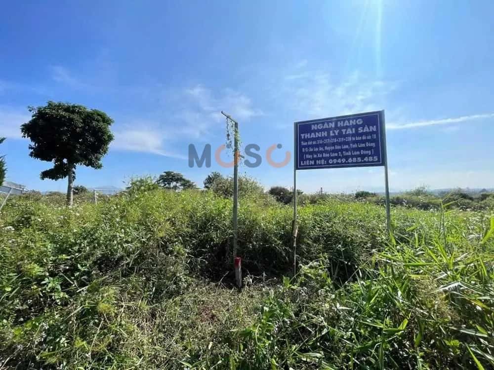 Bán đất Huyện Bảo Lâm, Lâm Đồng – giá 258.1 triệu — Hình 3