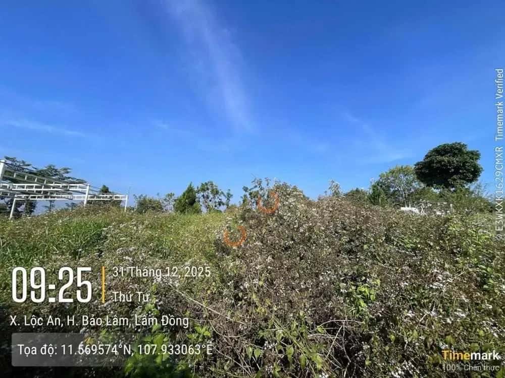 Bán đất Huyện Bảo Lâm, Lâm Đồng – giá 258.8 triệu — Hình 2