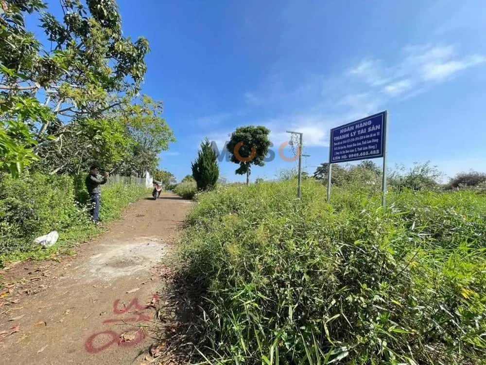 Bán đất Huyện Bảo Lâm, Lâm Đồng – giá 258.8 triệu — Hình 3