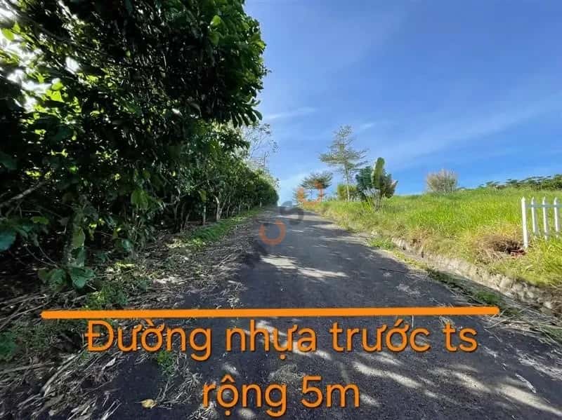 Bán đất Huyện Bảo Lâm, Lâm Đồng – giá 393.7 triệu — Hình 2