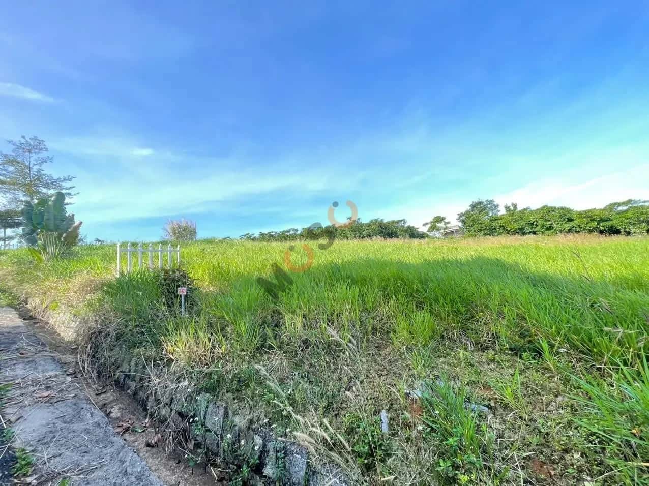 Bán đất Huyện Bảo Lâm, Lâm Đồng – giá 393.7 triệu — Hình 3