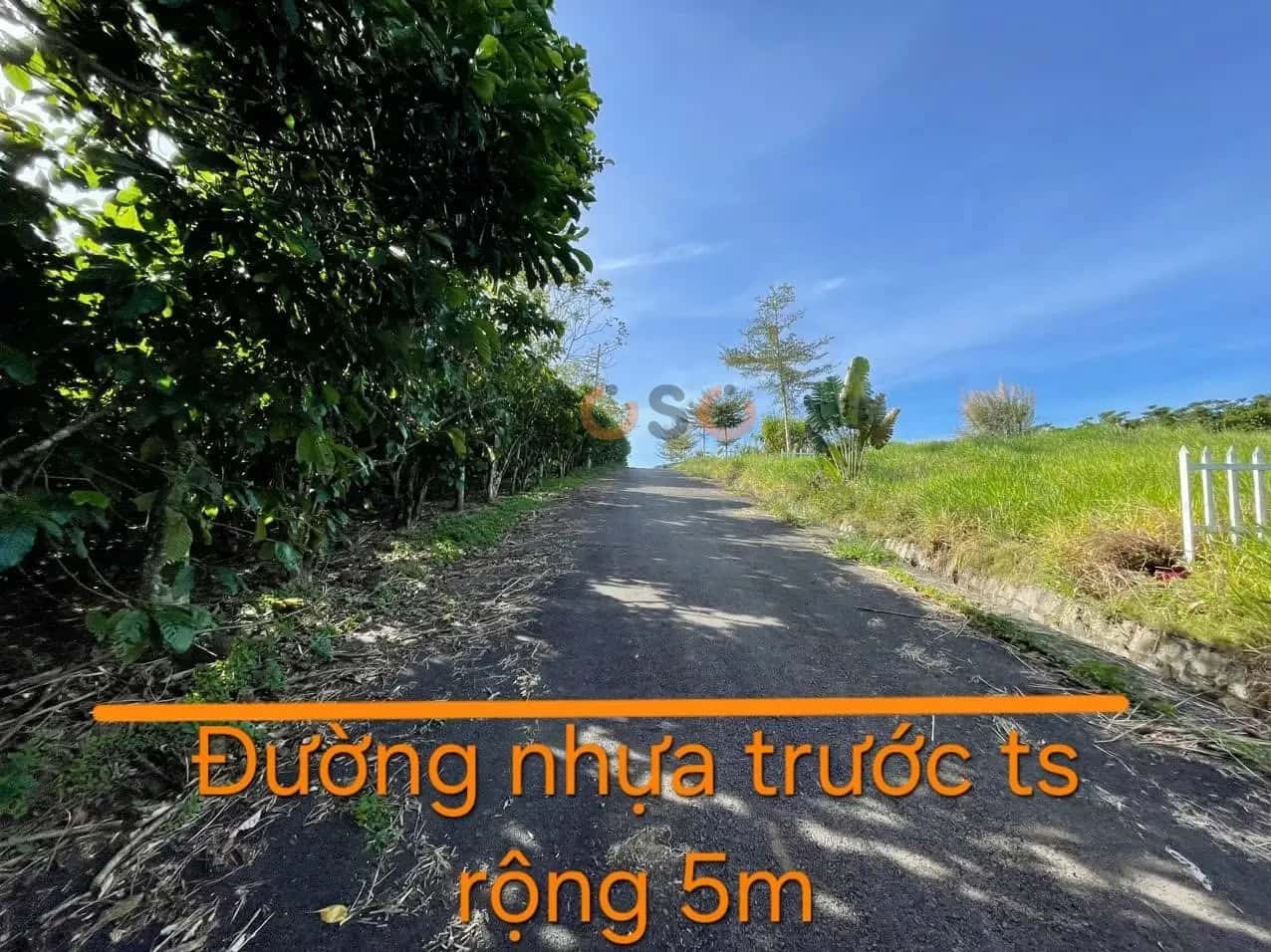 Bán đất Huyện Bảo Lâm, Lâm Đồng – giá 397.6 triệu — Hình 2